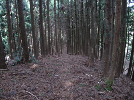 20160121hike (198)